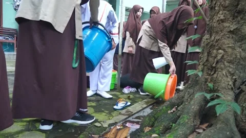 Checking mosquito larvae with the potential for dengue fever Stock Footage 236017788