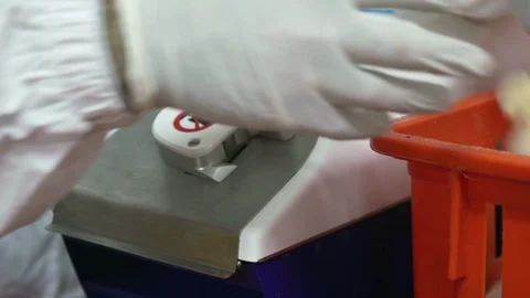 Checking new born chicks, chicken farm Stock Footage 119478095