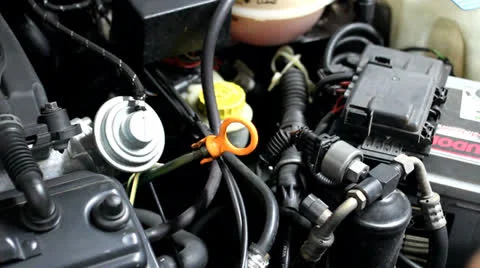 Checking Oil Stock Footage 23482477