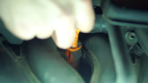 Checking the oil level in the car (1) Stock-Footage 48631047