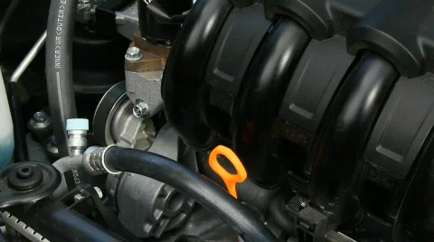 Checking the oil level Видео 842821