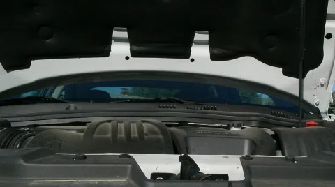 Checking OIl Level 動画素材 844291