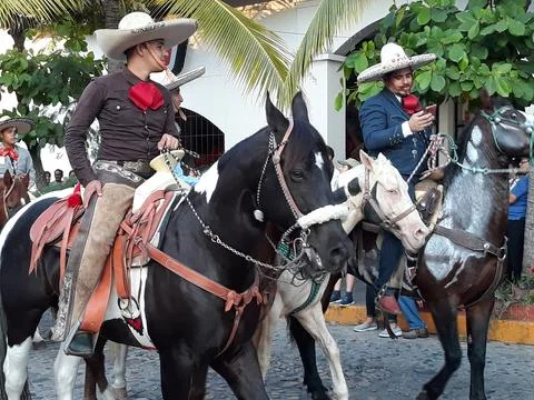Checking the phone at parade Stock Photos