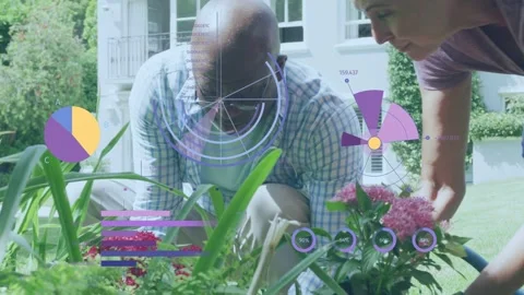 Checking pot, man starting data charts across while woman placing pot both Stock Footage 333233667