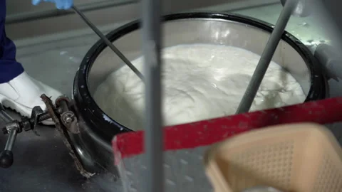 Checking quality Process. Milk Is Stirred Up In Steel Tank By The Operator.Dairy Video stock 278171151