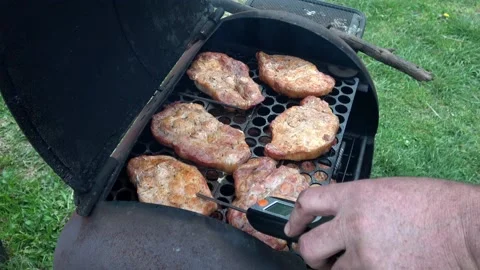 Checking for safe food temperature with digital instant thermometer. Kitchen Stock Footage 153425186