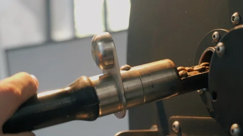 Checking a sample of coffee beans that are getting roasted. Видео 100883734