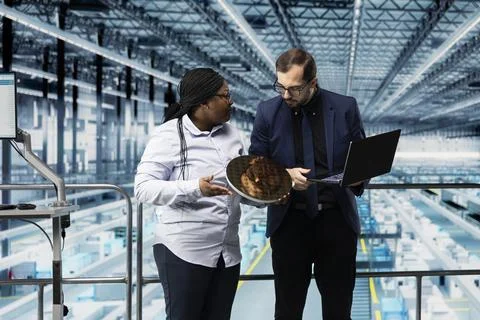 Checking silicon wafer hardware defects, laptop and man with coworker Stock Photos