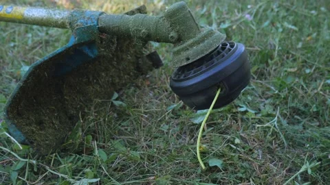 Checking start-up before operating the mower. Rotating thread for cutting dry Video stock 167691229