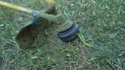Checking start-up before operating the mower. Rotating thread for cutting dry Stock Footage 168484086
