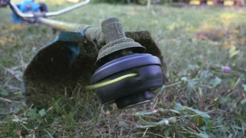 Checking start-up before operating the mower. Rotating thread for cutting dry Stock Footage 191486158