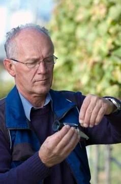 Checking the sugar content of grape Stock Photos