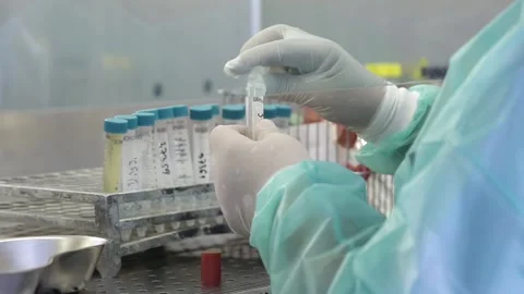 Checking test samples in microbiology lab Stock Footage 168233221