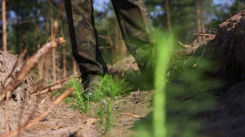 Checking tree seedlings Stock-Footage 34328480