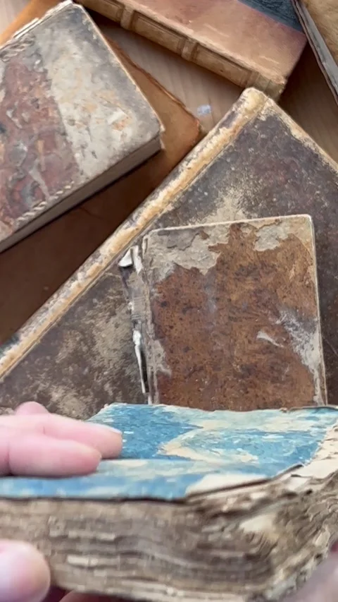 Checking a vintage damaged book Stock Footage 223185458