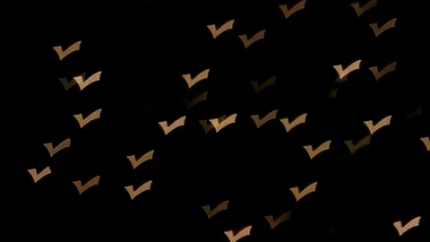 Checkmark Bokeh White Light RACK Stock Footage 84709069