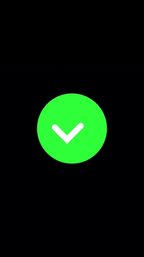 Checkmark Success Confirmation Animation Stock Footage 346565272