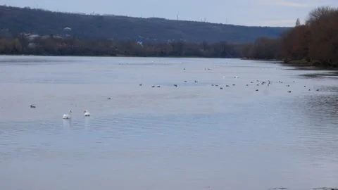 Checkpoint Yampil - Koseuts. Ferry crossing on the Dniester river. Stock Footage 147343321