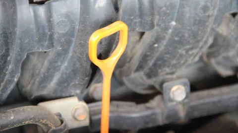 Checks oil level Stock Footage 32273213