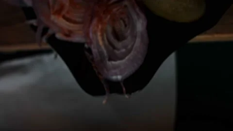 Chedar cheese over beef patties. Taste Classic American burger. 4k video Vidéo 159610053