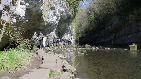 Chee Dale Stepping Stones Stock Footage 308756959