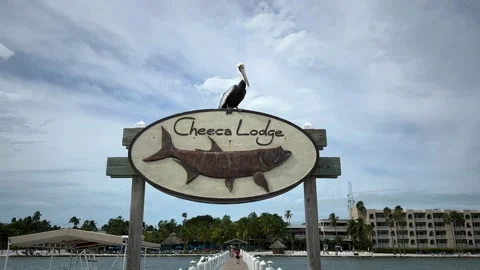Cheeca Lodge Sign Stock Footage 254907392
