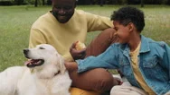Cheerful African Boy Petting Dog On Family Picnic In Park Stock Footage