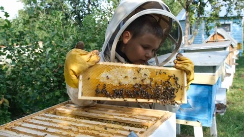 Cheerful boy beekeeper in protective suit near beehive. Honeycomb with honey Stock Footage 116269296