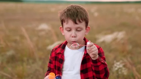 Cheerful boy in checkered shirt blows bubbles in field of cultivated plants Stock Footage 258963404