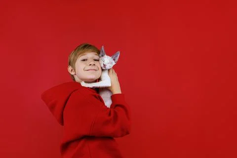 Cheerful boy on a red background with a cat in his hands Stock Photos