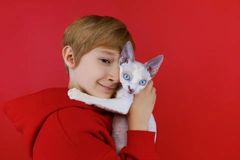 Cheerful boy on a red background with a cat in his hands Stock Photos