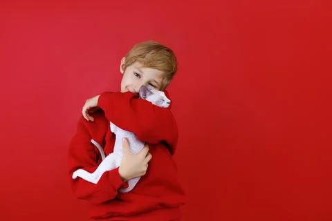 Cheerful boy on a red background with a cat in his hands Stock Photos