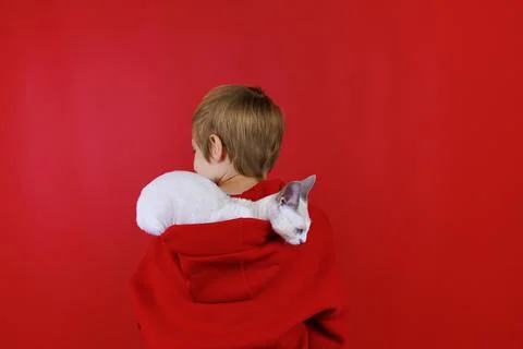 Cheerful boy on a red background with a cat in his hands Stock Photos