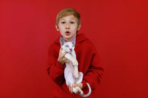 Cheerful boy on a red background with a cat in his hands Stock Photos