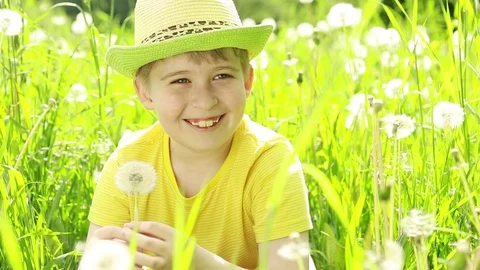  Cheerful boy sits in the grass and plays with dandelions. Stock Footage 76463334