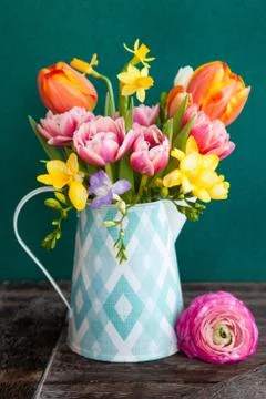 Cheerful bright spring flowers Stock Photos