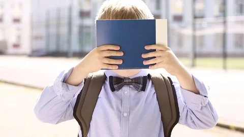  A cheerful child in the background of the school. A schoolboy with a book  Stock Footage 79168236