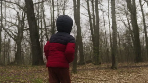 Cheerful child boy having fun while running through the autumn forest. Active Stock Footage 238002444
