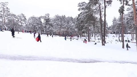 Cheerful children sledding down on snow in winter.  Stock Footage 101030108