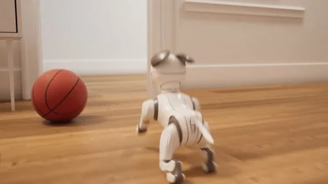 Cheerful concept of robot puppy running through the house. Cute small toy CGI 4k Stock Footage 201236019