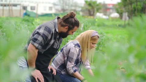 Cheerful couple on garden 스톡 동영상 171432003