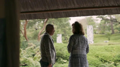 Cheerful elderly couple standing together by a pond, talking and smiling in a be Stock-Footage 199460984