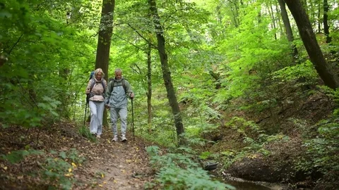 Cheerful elderly couple of tourists walking along the path in the wood Stock Footage