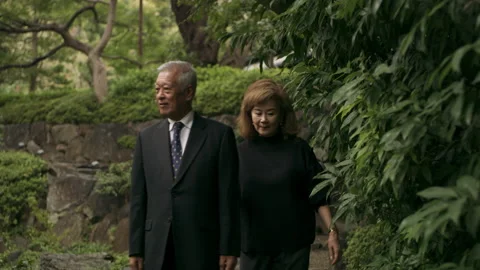 Cheerful elderly couple walking together along a stone path in a beautiful garde Stock Footage 199456070