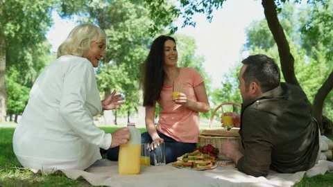Cheerful family having a picnic in the park Stock Footage