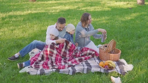 Cheerful family sitting on the grass during a picnic in a park, all have Stock Footage 98009880
