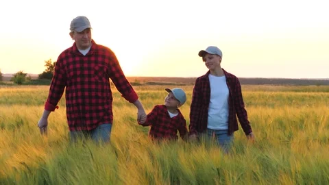 Cheerful farmer family interacts while strolling through wheat field at back Stock Footage 258734542