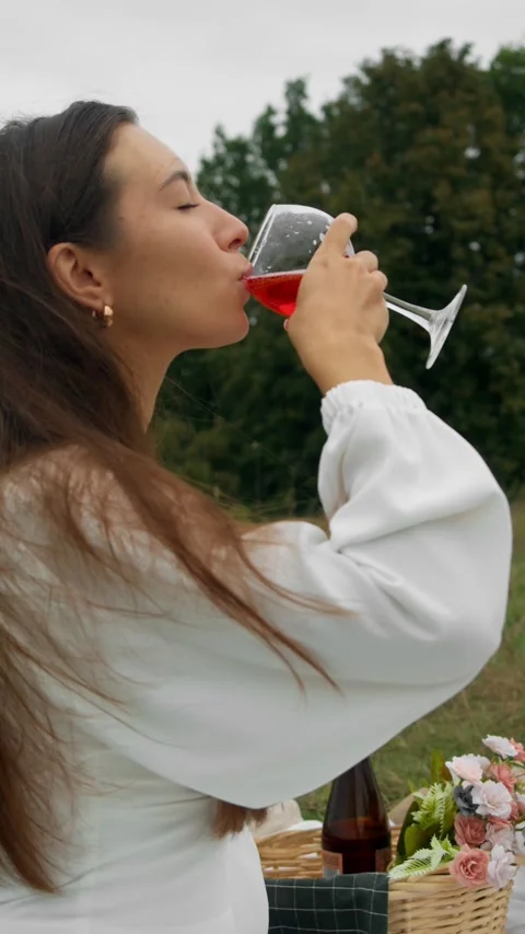 Cheerful friends toasting together while enjoying classic picnic foods, wine and Stock Footage 317026306