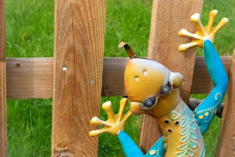 Cheerful garden lizard Foto stock