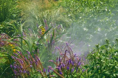 Cheerful joy splashes of raindrops or irrigation systems in a blooming city park Stock Photos